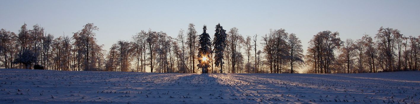 20090111 h�chster panorama IMG_8833
